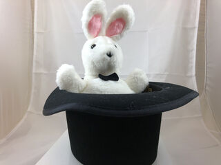 Rabbit in the Hat Puppet.4.jpeg